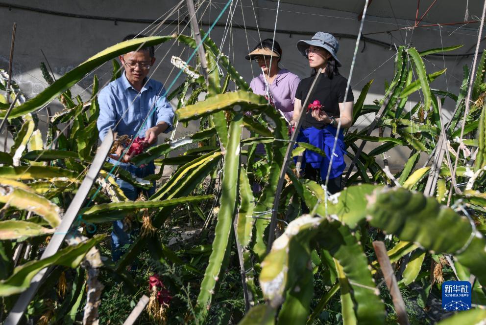 mg赌场游戏登录